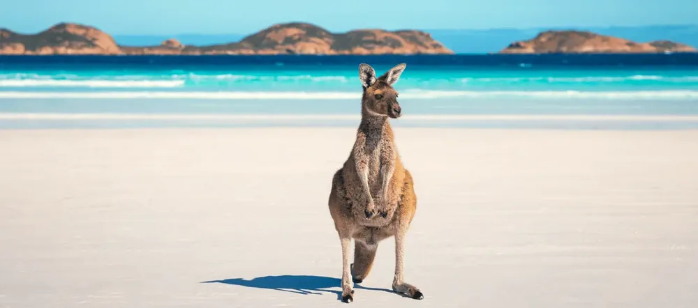Lucky Bay, Australia