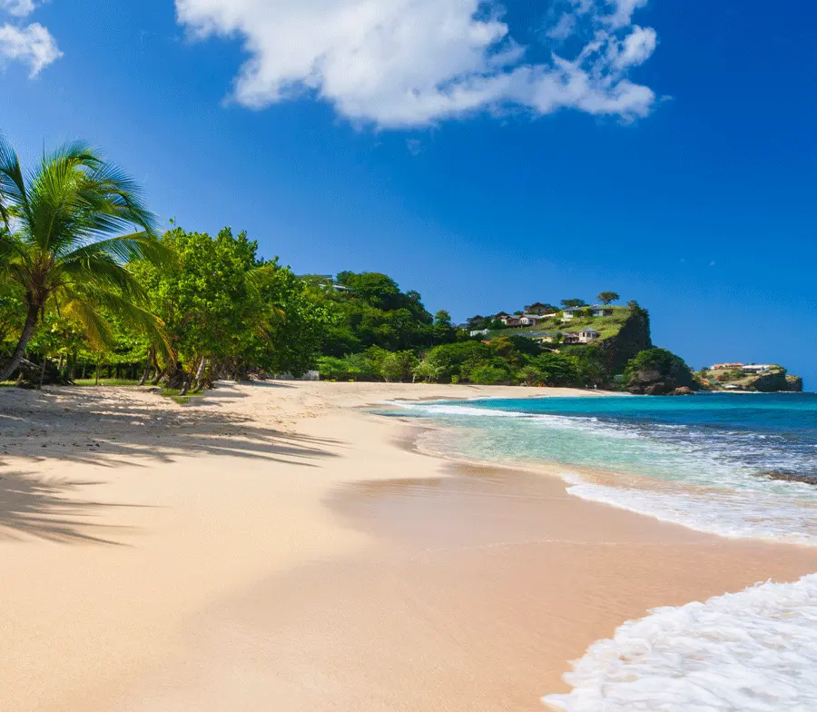 Grand Anse, Voted One Of The World's Best Beaches