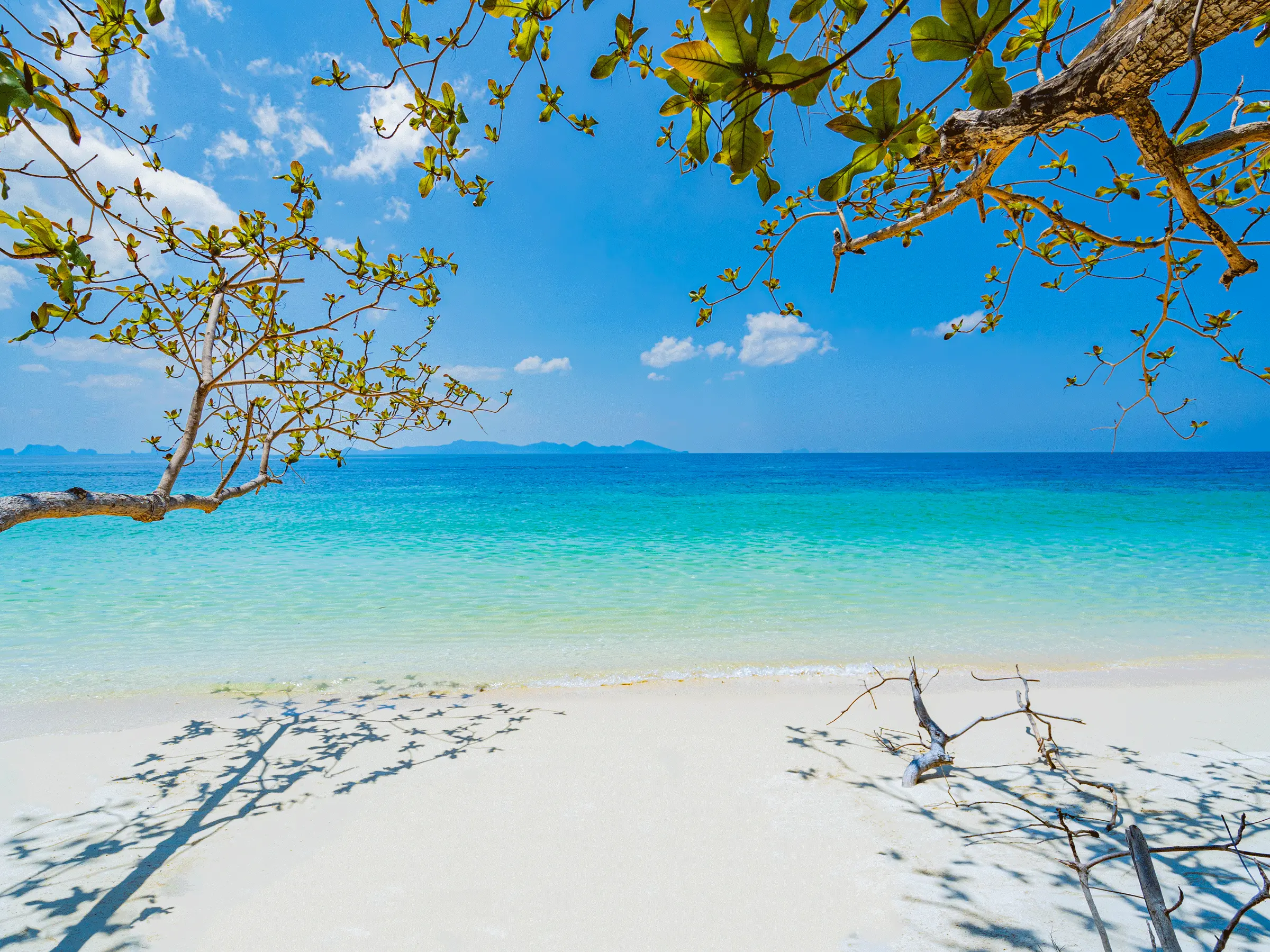 Paradise Beach