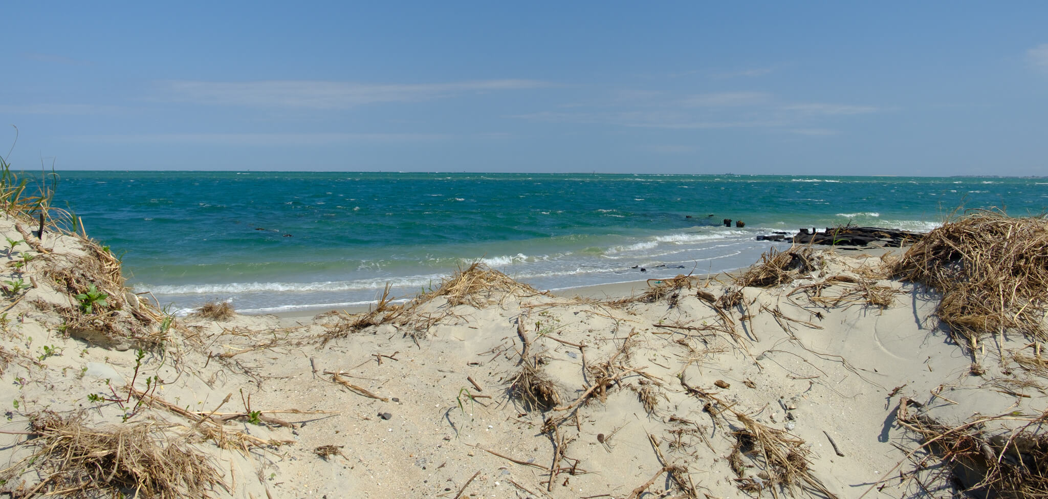 Ocracoke Beach World’s Best Beaches 2018